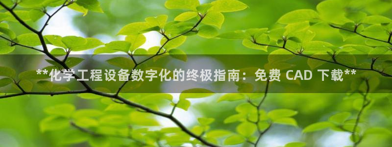 新城平台注册公司流程视频