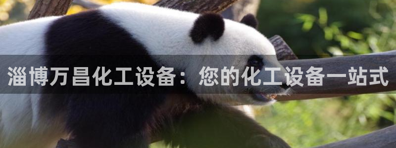 新城平台代理怎么样