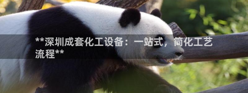 新城平台官网注册