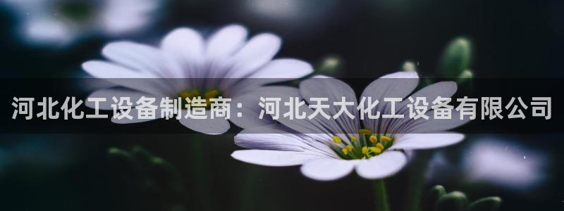 新城平台注册网址是什么：河北化工设备制造商：河北天大化工设备
