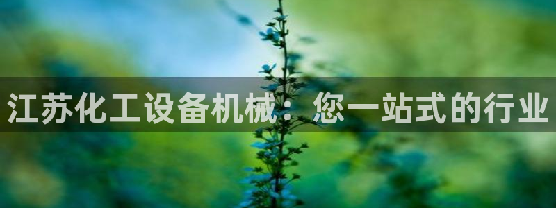 新城平台平台最新活动有哪些：江苏化工设备机械：您一站式的行业