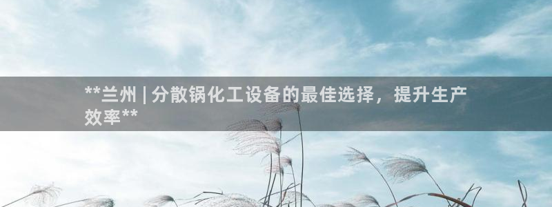 新城平台入.新城平台.全国联网是什么意思