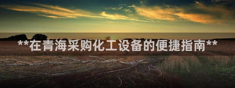 新城平台