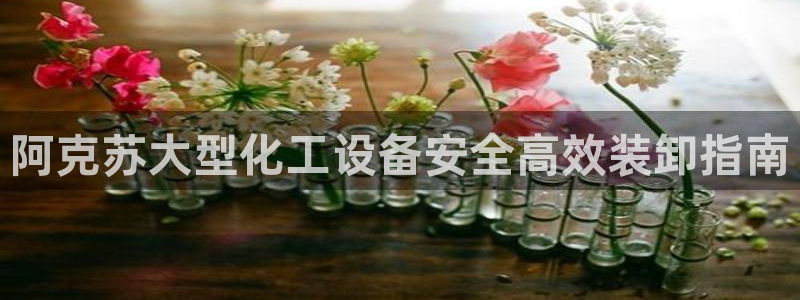 新城平台注册流程图