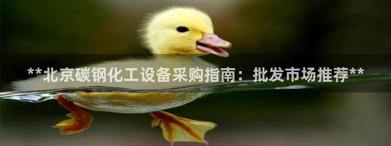 新城平台登录入口官网下载