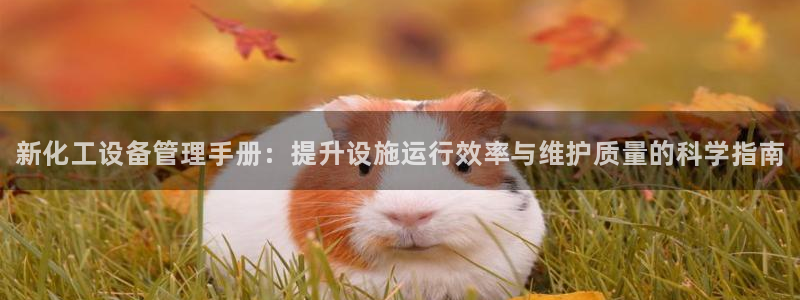 新城平台注册网址查询：新化工设备管理手册：提升设施