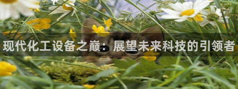 新城平台官网：现代化工设备之巅：展望未来科技的引领