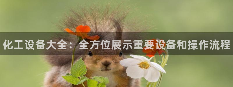 新城平台进·新城平台：化工设备大全：全方位展示重要