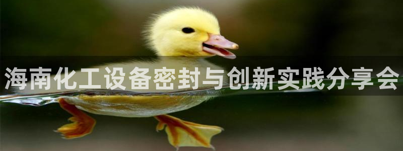 新城平台进·新城平台：海南化工设备密封与创新实践分享会