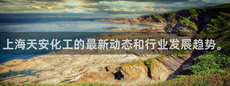 新城平台线路登录