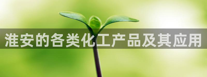 新城平台怎么样