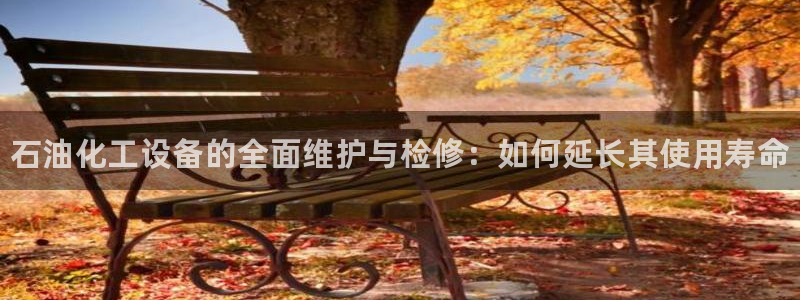 新城平台是干嘛的公司有哪些