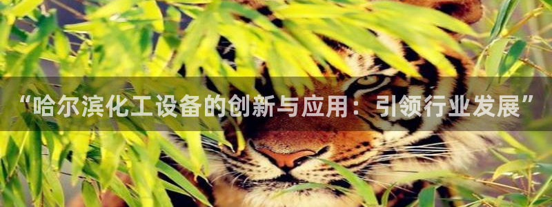 新城平台负责人电话