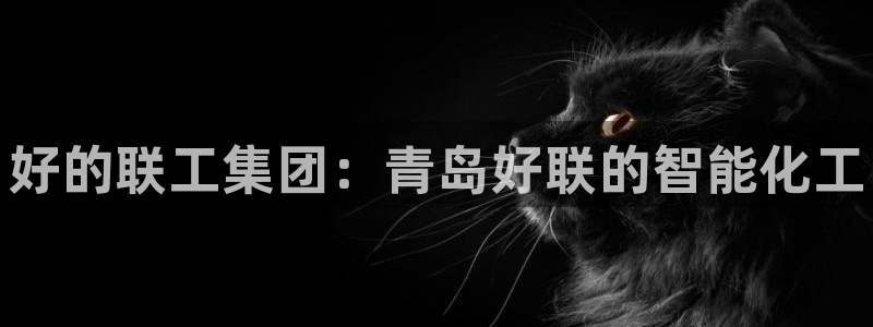 新城平台注册资金多少