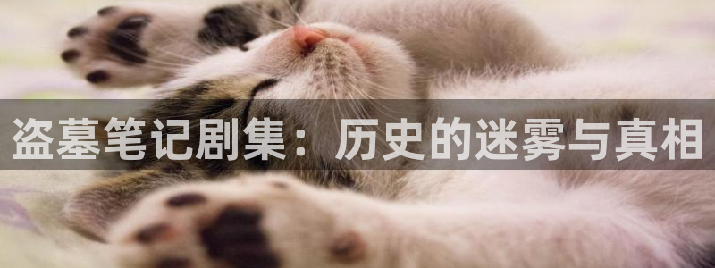 欧美aa一级看片：盗墓笔记剧集：历史的迷雾与真相