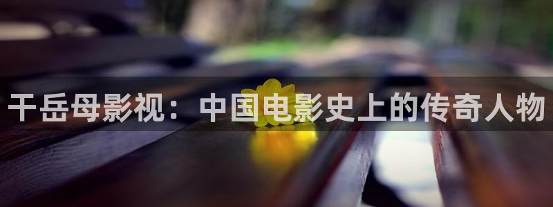 aa午夜电影