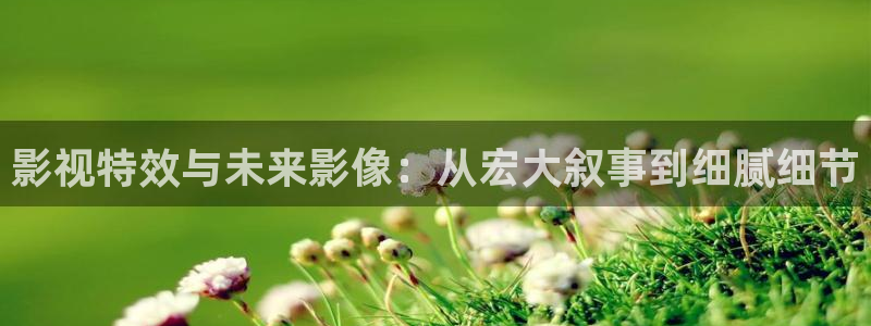 aa午夜电影aa