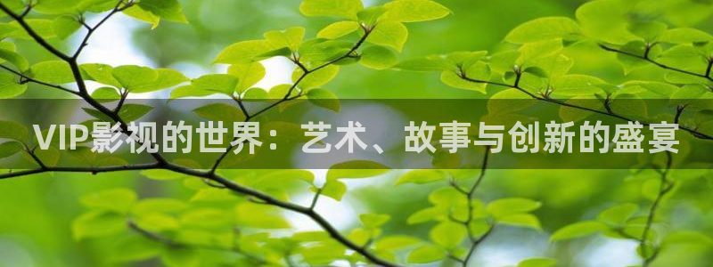 aa黄色私人影院