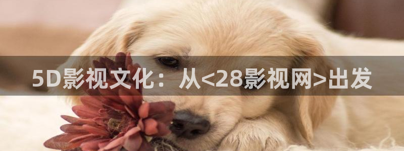 欧美aaa片电影