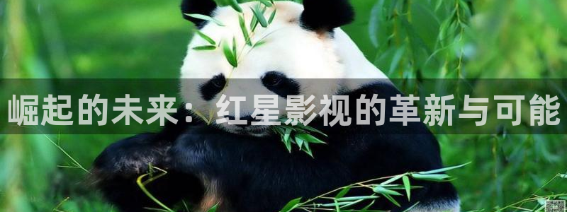 欧美成人aa大片