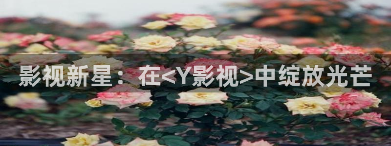 午夜影院aaa剧场